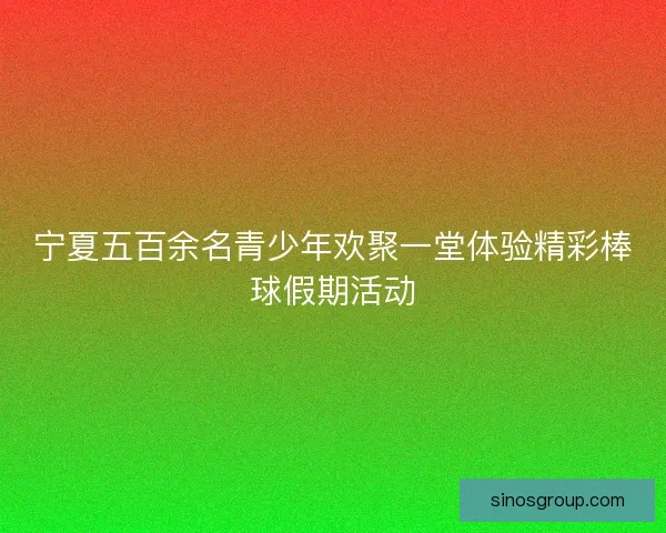 宁夏五百余名青少年欢聚一堂体验精彩棒球假期活动 宁夏五百余名青少年欢聚一堂体验精彩棒球假期活动